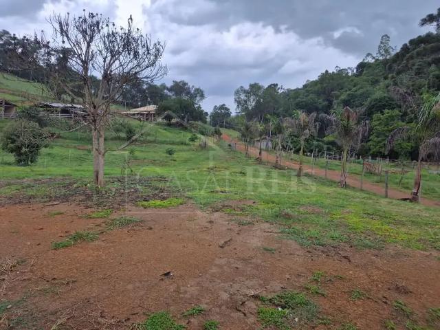 Sítio / Chácara para Venda em Bandeira do Sul/MG Zona Rural 3 Quartos