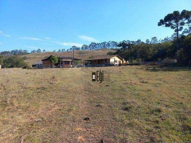 Sítio / Chácara para Venda em Barbacena/MG Centro