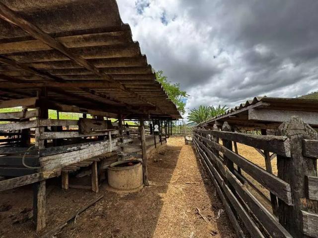 Sítio / Chácara para Venda em Barbacena/MG Área Rural de Barbacena 2 Quartos
