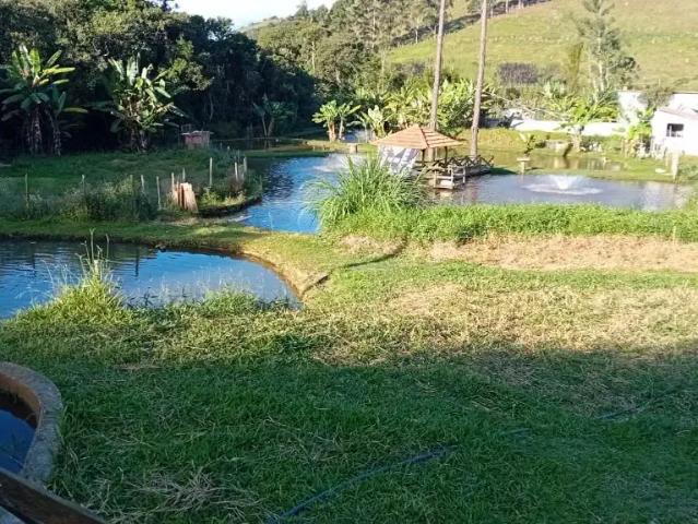Sítio / Chácara para Venda em Barbacena/MG Área Rural de Barbacena 5 Quartos