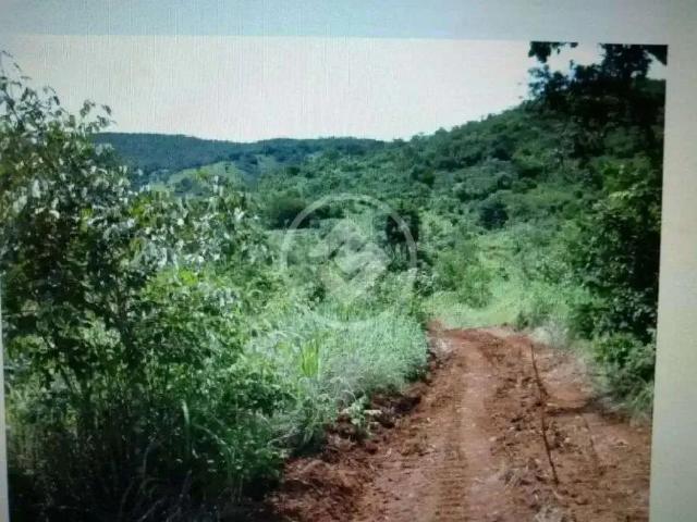 Sítio / Chácara para Venda em Barro Alto/GO Centro