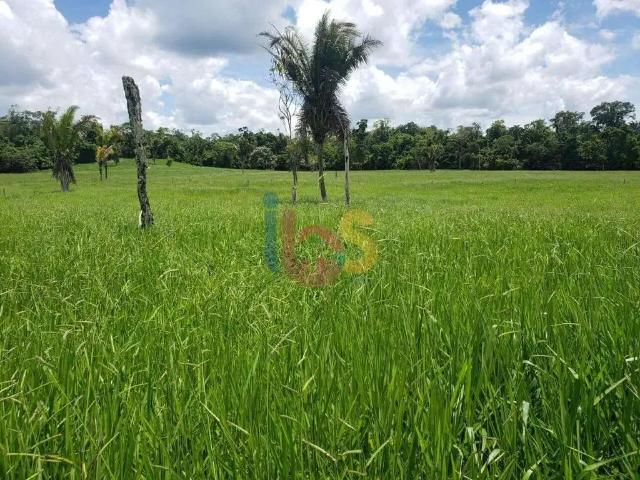 Sítio / Chácara para Venda em Barro Preto/BA Zona Rural