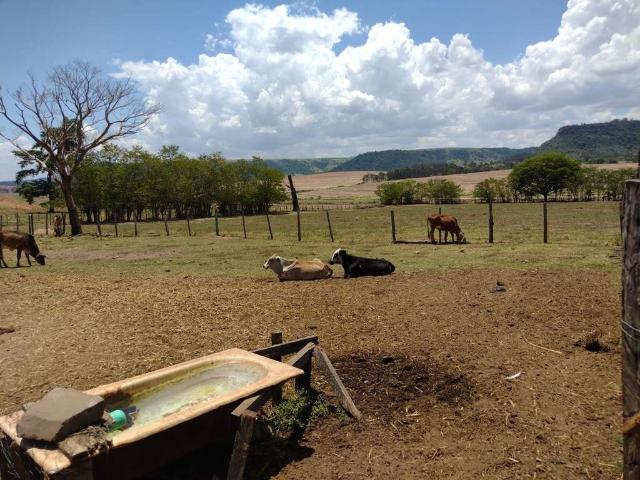 Sítio / Chácara para Venda em Barra Bonita/SP Zona Rural 2 Quartos