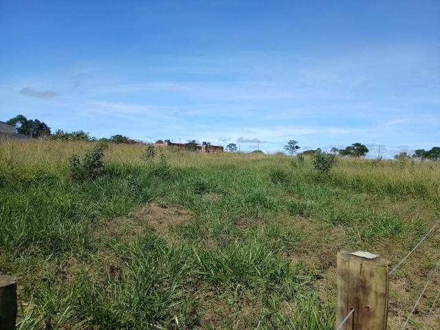 Sítio / Chácara para Venda em Barra do Choça/BA Área Rural de Barra do Choça
