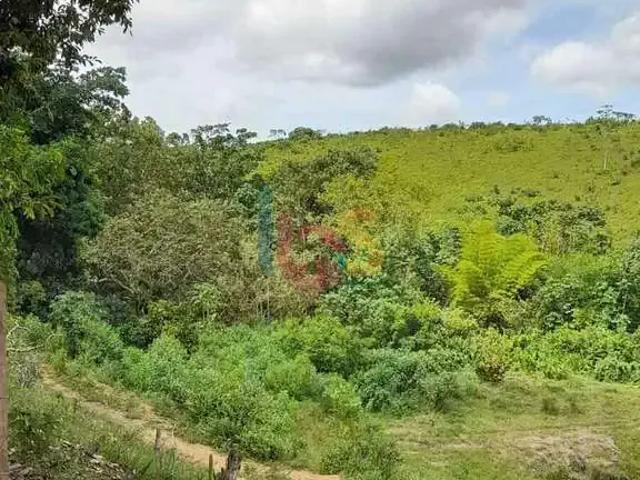 Sítio / Chácara para Venda em Barra do Rocha/BA Zona rural