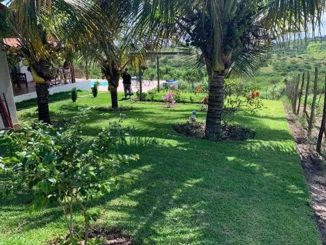 Sítio / Chácara para Venda em Barra de Guabiraba/PE Centro 5 Quartos