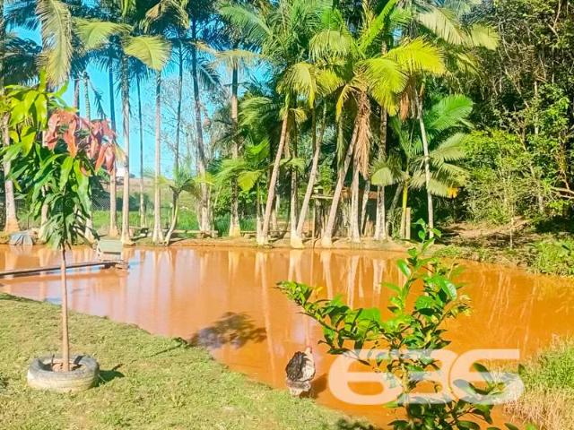 Sítio / Chácara para Venda em Barra Velha/SC Escalvado 3 Quartos