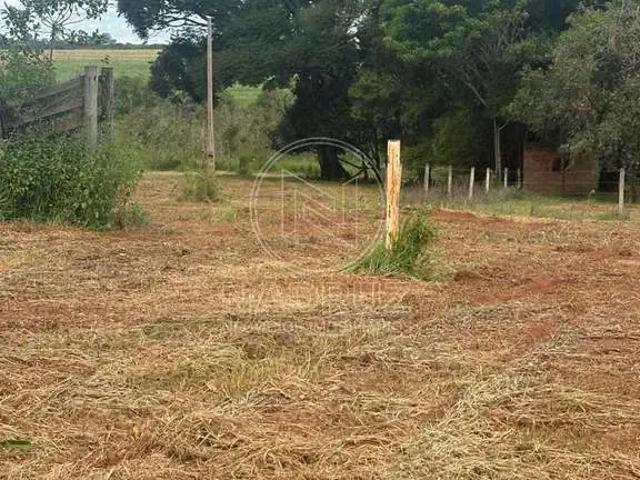 Sítio / Chácara para Venda em Barretos/SP City Barretos 2 Quartos