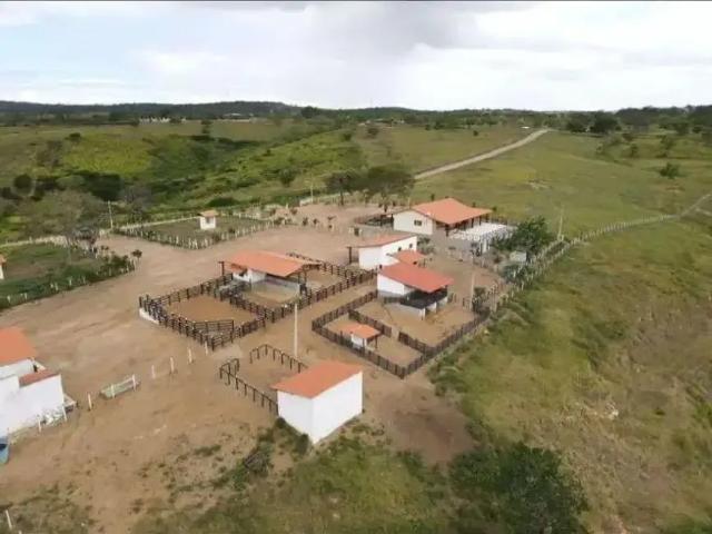 Sítio / Chácara para Venda em Bezerros/PE Centro 3 Quartos