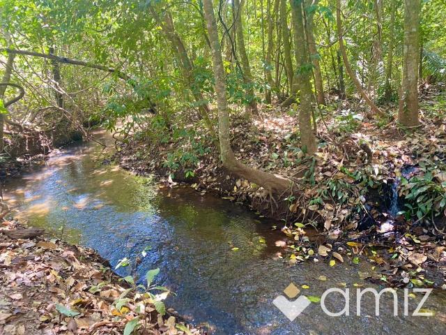 Sítio / Chácara para Venda em Bela Vista de Goiás/GO Área Rural de Bela Vista de Goiás