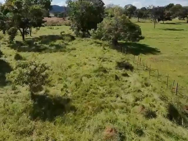 Sítio / Chácara para Venda em Bela Vista de Goiás/GO Área Rural de Bela Vista de Goiás 2 Quartos