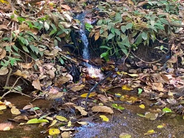 Sítio / Chácara para Venda em Bela Vista de Goiás/GO Centro