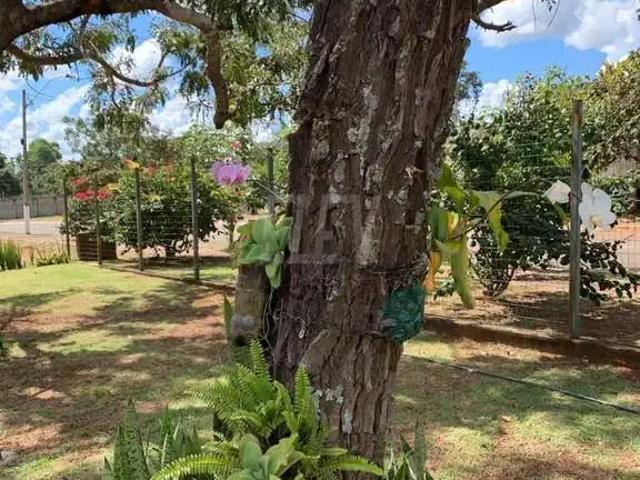 Sítio / Chácara para Venda em Bela Vista de Goiás/GO Centro 4 Quartos