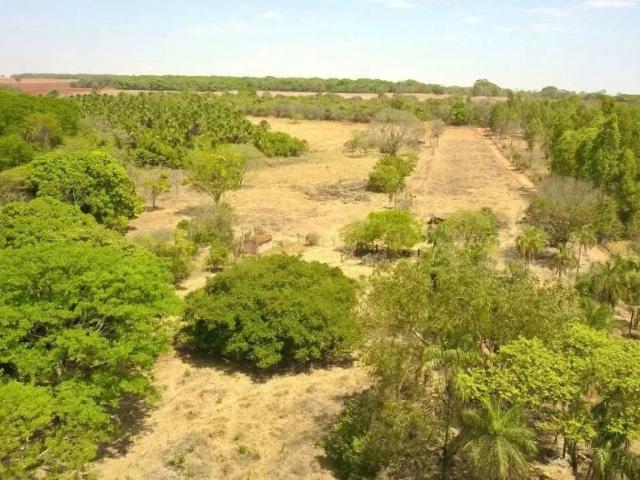 Sítio / Chácara para Venda em Bela Vista de Goiás/GO Distrito de Roselândia