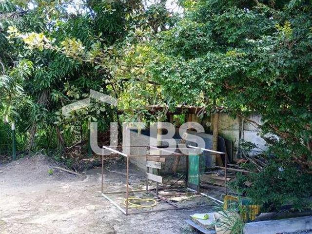 Sítio / Chácara para Venda em Bela Vista de Goiás/GO Vereda dos Buritis 3 Quartos