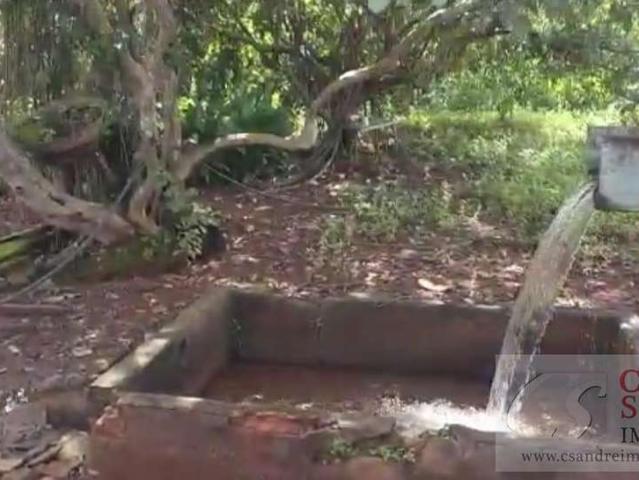 Sítio / Chácara para Venda em Bela Vista de Goiás/GO Área Rural de Bela Vista de Goiás 3 Quartos