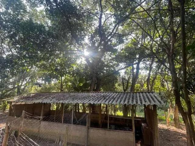 Sítio / Chácara para Venda em Bela Vista de Goiás/GO Área Rural de Bela Vista de Goiás 3 Quartos