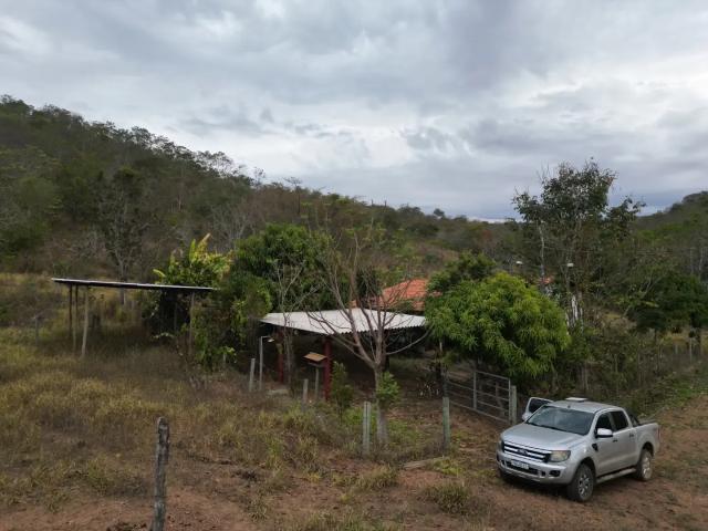 Sítio / Chácara para Venda em Bela Vista de Goiás/GO Zona Rural 2 Quartos