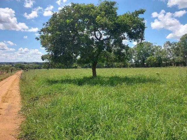 Sítio / Chácara para Venda em Bela Vista de Goiás/GO Zona Rural 2 Quartos
