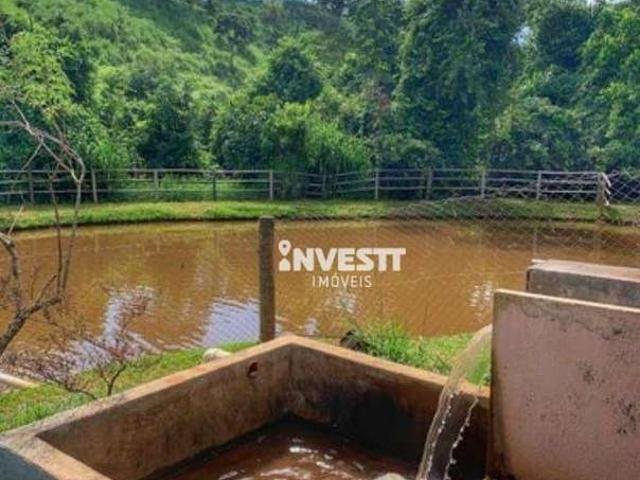 Sítio / Chácara para Venda em Bela Vista de Goiás/GO Zona Rural 4 Quartos