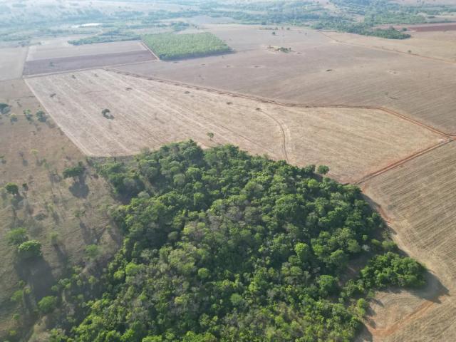 Sítio / Chácara para Venda em Bela Vista de Goiás/GO Zona Rural
