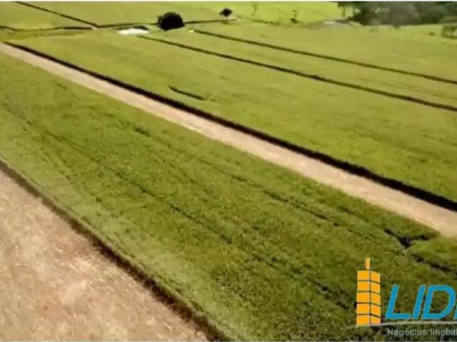 Sítio / Chácara para Venda em Bela Vista de Goiás/GO Zona Rural