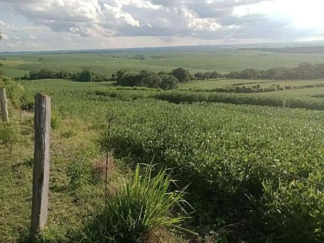 Sítio / Chácara para Venda em Bela Vista do Paraíso/PR Centro 1 Quartos