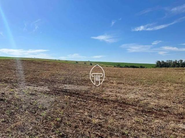 Sítio / Chácara para Venda em Bela Vista do Paraíso/PR Centro