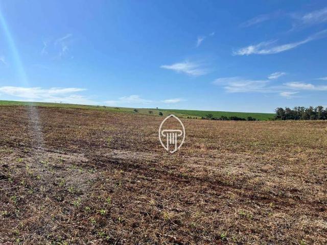 Sítio / Chácara para Venda em Bela Vista do Paraíso/PR Centro