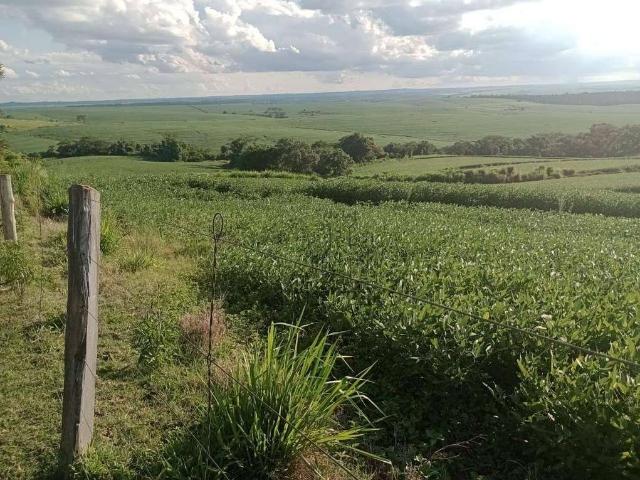 Sítio / Chácara para Venda em Bela Vista do Paraíso/PR Centro 1 Quartos