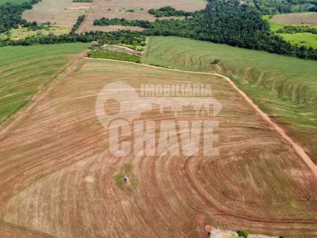 Sítio / Chácara para Venda em Bela Vista do Paraíso/PR Zona Rural