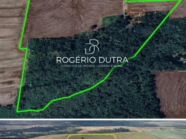 Sítio / Chácara para Venda em Bela Vista do Paraíso/PR Zona Rural