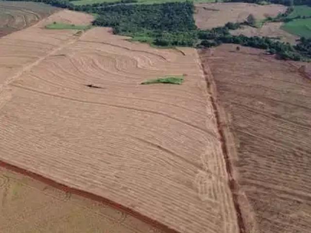 Sítio / Chácara para Venda em Bela Vista do Paraíso/PR Zona Rural