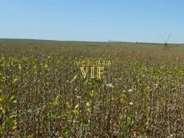 Sítio / Chácara para Venda em Bela Vista do Paraíso/PR Zona Rural 1 Quartos