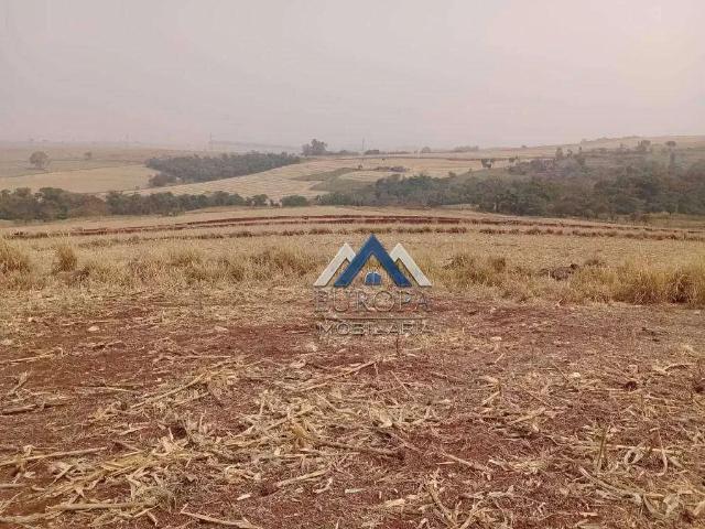 Sítio / Chácara para Venda em Bela Vista do Paraíso/PR Zona Rural