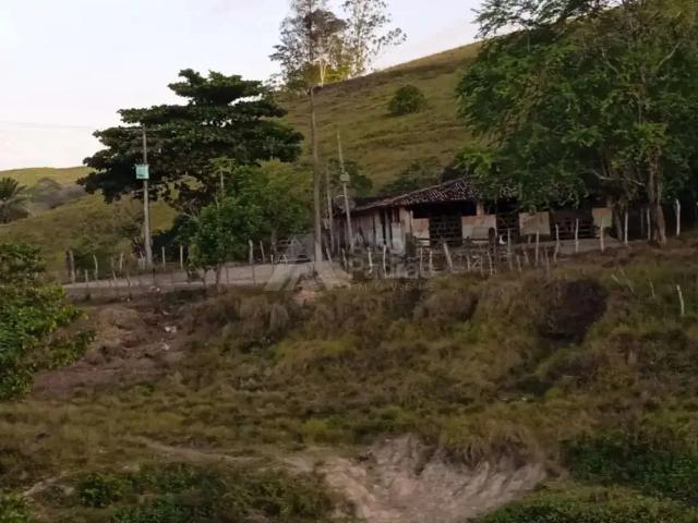 Sítio / Chácara para Venda em Belém de Maria/PE Centro