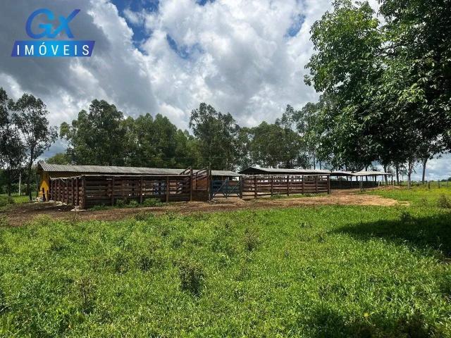 Sítio / Chácara para Venda em Buenópolis/MG Curimataí