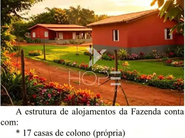 Sítio / Chácara para Venda em Belo Horizonte/MG Centro 1 Quartos