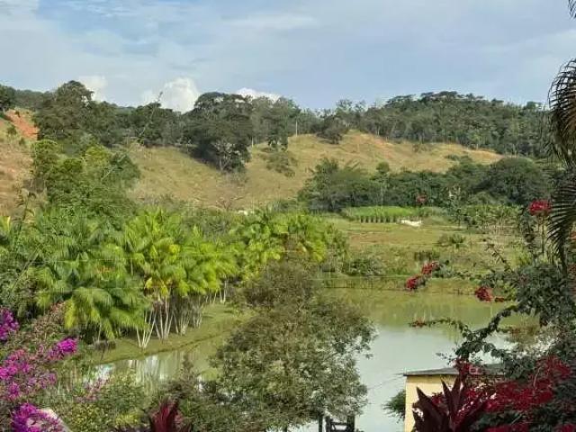 Sítio / Chácara para Venda em Belo Oriente/MG Bom Jesus do Bagre 3 Quartos