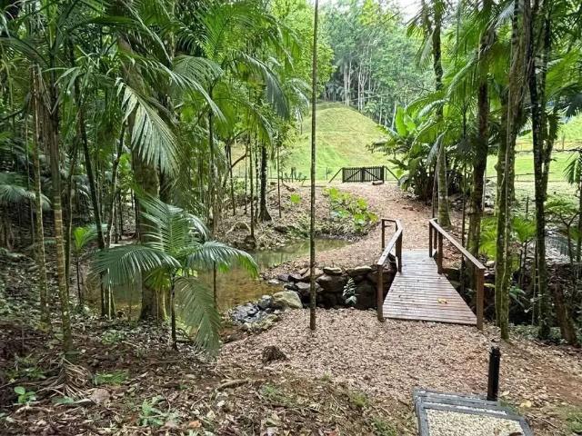 Sítio / Chácara para Venda em Benedito Novo/SC Santa Maria 5 Quartos