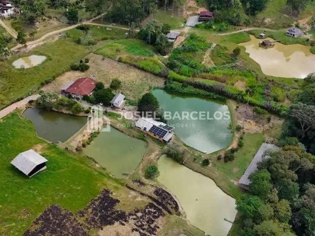 Sítio / Chácara para Venda em Benedito Novo/SC ZINCO 5 Quartos