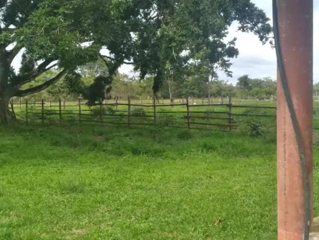 Sítio / Chácara para Venda em Benevides/PA Centro 4 Quartos