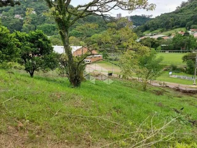 Sítio / Chácara para Venda em Bento Gonçalves/RS Barracão