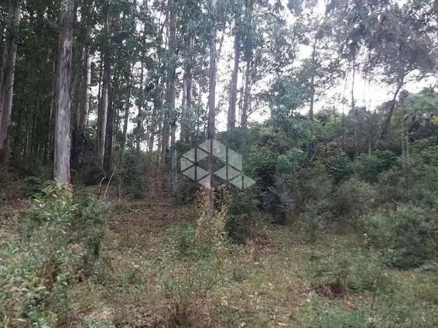 Sítio / Chácara para Venda em Bento Gonçalves/RS Faria Lemos Distrito