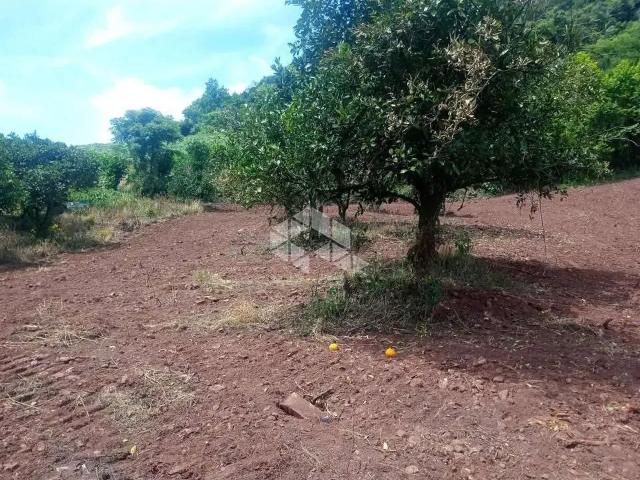 Sítio / Chácara para Venda em Bento Gonçalves/RS Faria Lemos Distrito