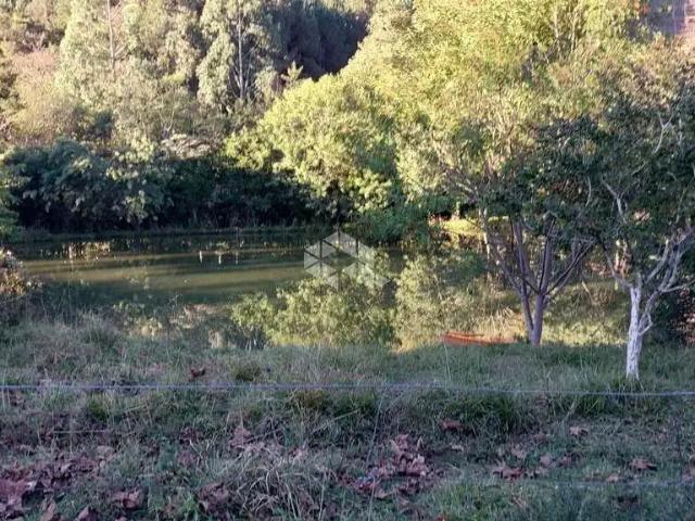 Sítio / Chácara para Venda em Bento Gonçalves/RS Faria Lemos Distrito