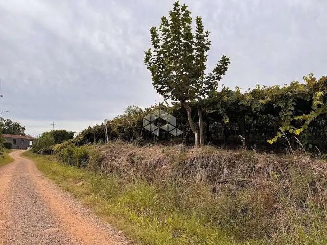 Sítio / Chácara para Venda em Bento Gonçalves/RS Faria Lemos Distrito