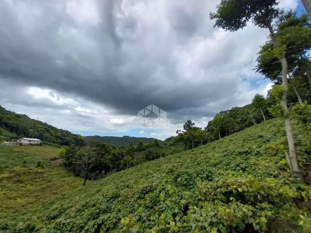 Sítio / Chácara para Venda em Bento Gonçalves/RS São Vendelino 1 Quartos