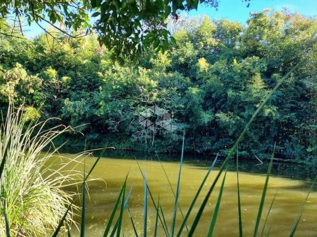 Sítio / Chácara para Venda em Bento Gonçalves/RS Vale dos Vinhedos Distrito