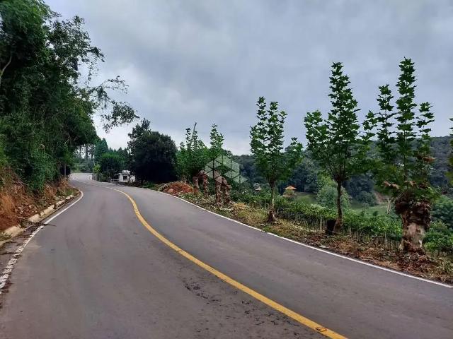 Sítio / Chácara para Venda em Bento Gonçalves/RS Vale dos Vinhedos Distrito